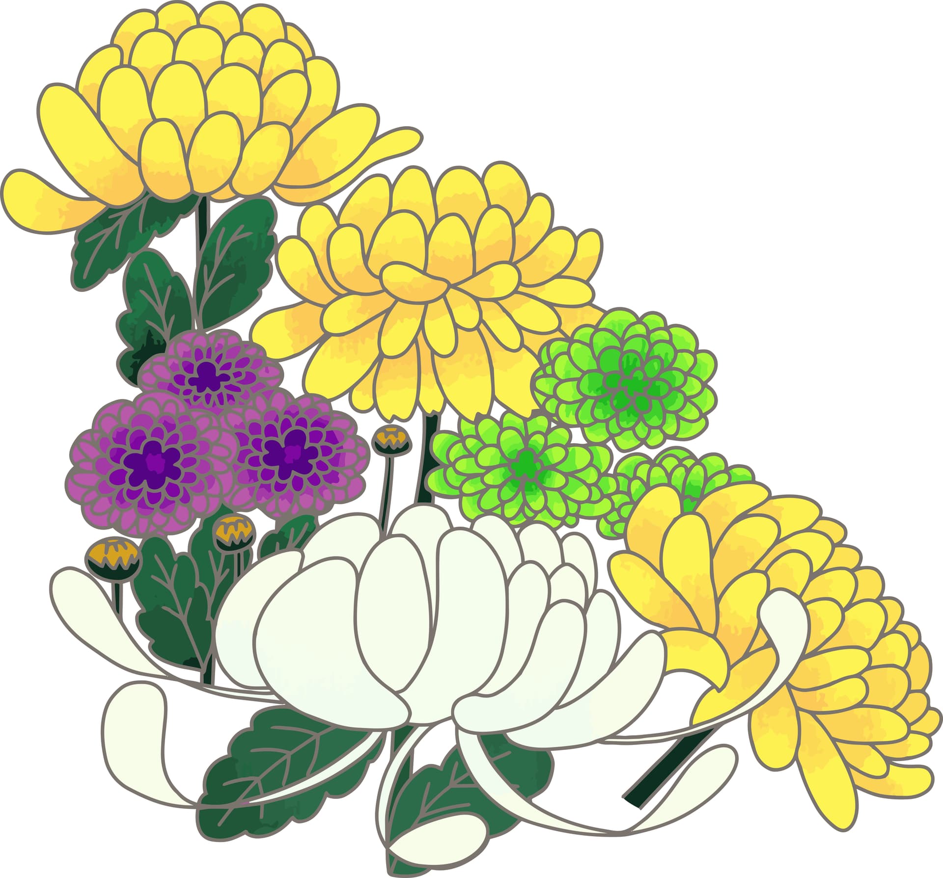 blog_image